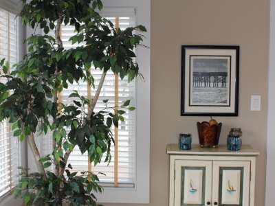Woodwork Staining