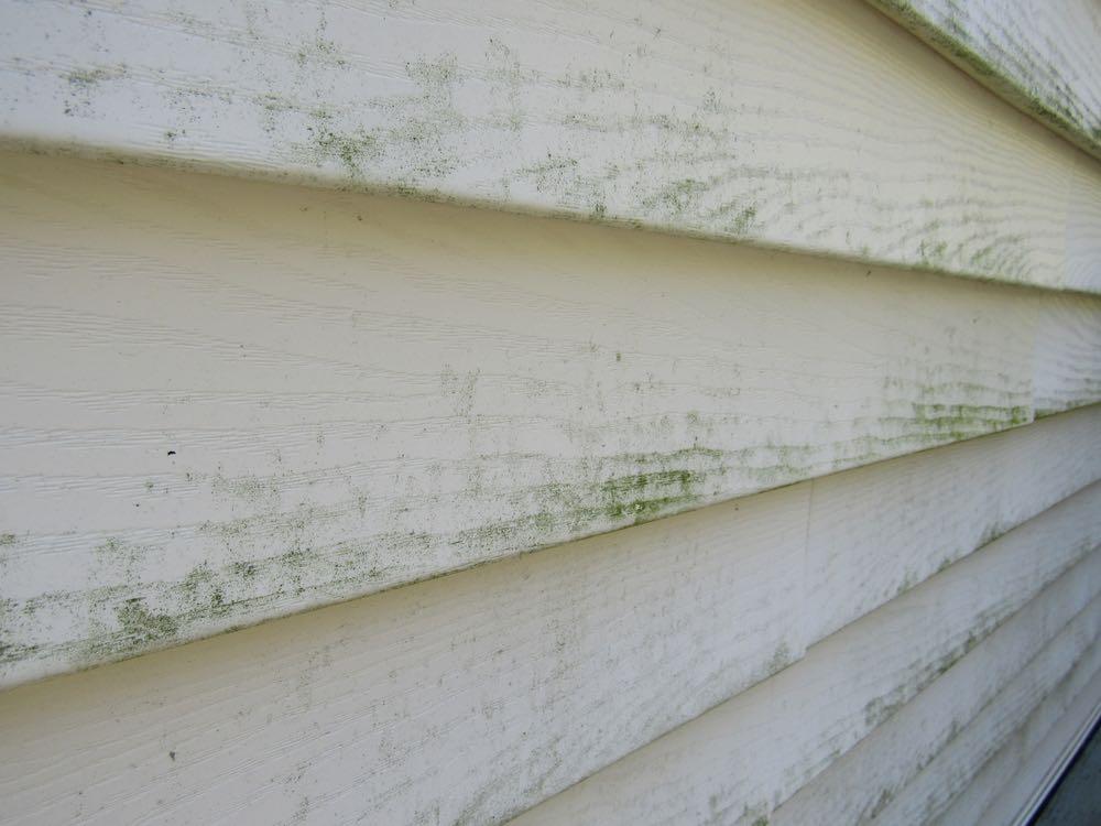 How Do I Get Rid of the Green on My Siding?